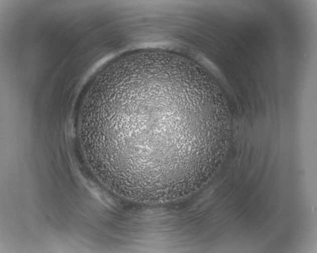 X0000082140628200702021610