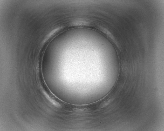 X0000082140629200702021610
