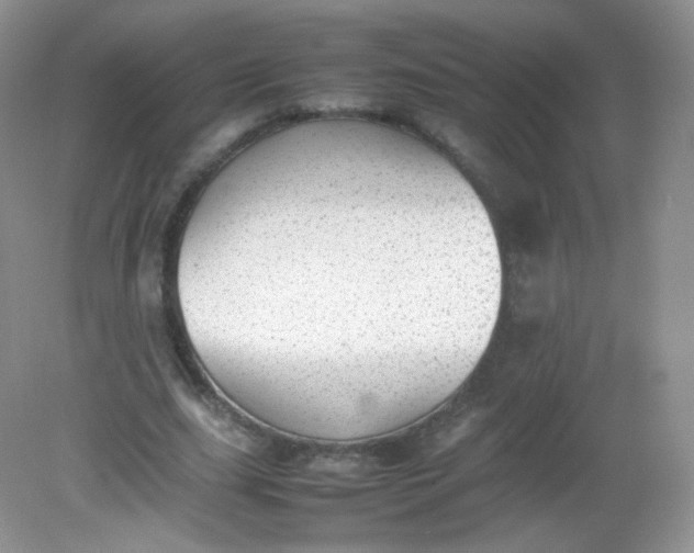 X0000082140631200702021610