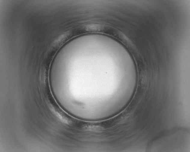 X0000082140637200702021610