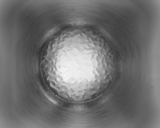 X0000082140638200702021610