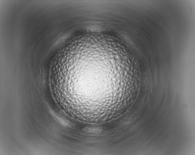 X0000082140639200702021610