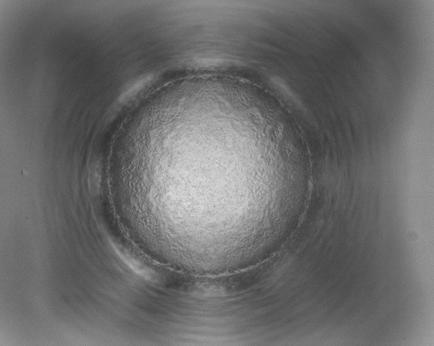 X0000082140640200702021610
