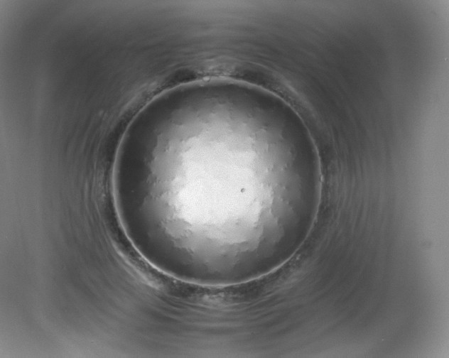 X0000082140641200702021610