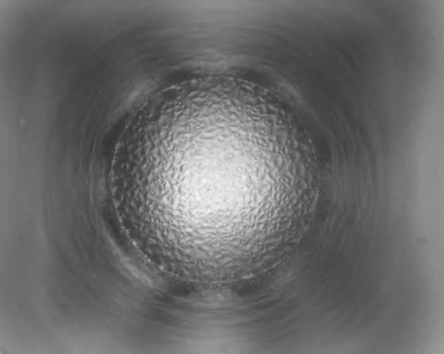 X0000082140642200702021610