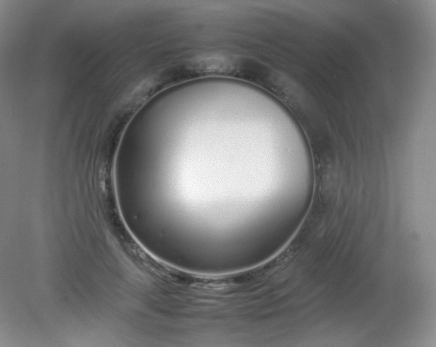 X0000082140643200702021610