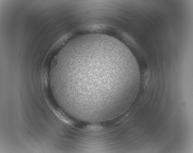 X0000082140644200702021610