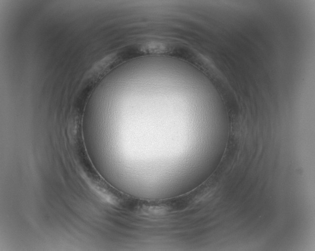 X0000082140645200702021610