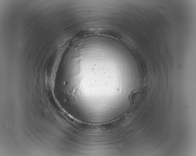 X0000082140646200702021610