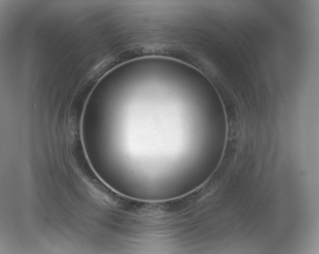 X0000082140648200702021610