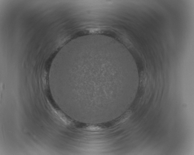 X0000082140650200702021610