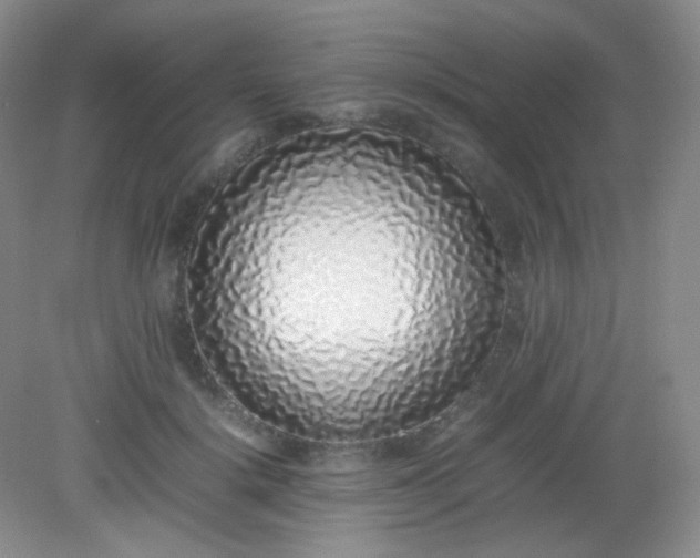 X0000082140652200702021610
