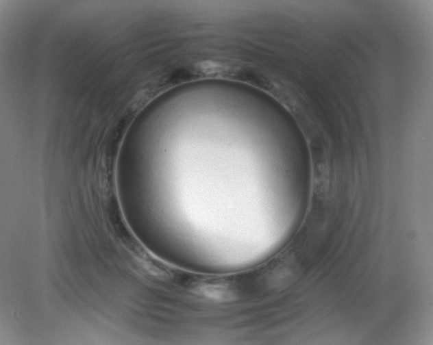 X0000082140653200702021610