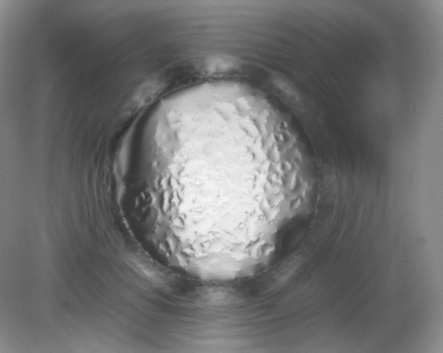 X0000082140654200702021610