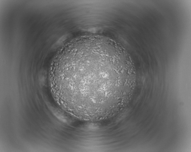 X0000082140656200702021610