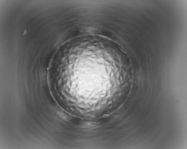X0000082140657200702021610
