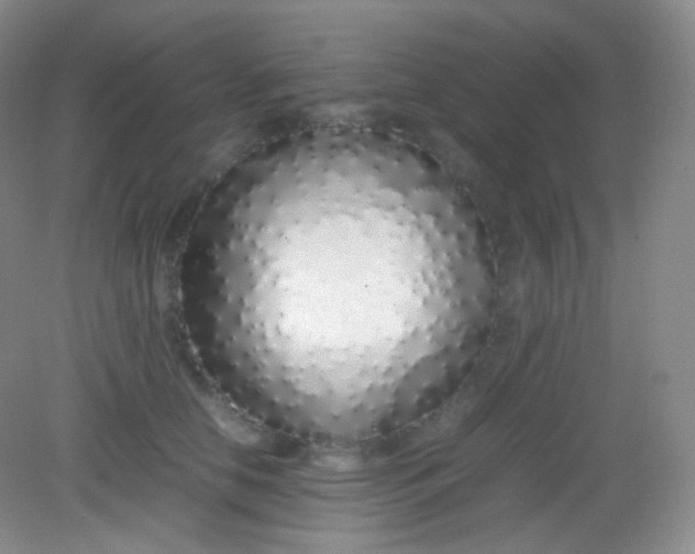 X0000082140658200702021610