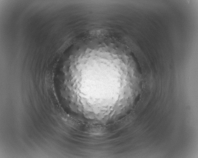 X0000082140659200702021610