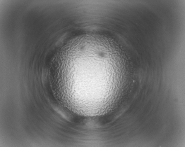 X0000082140660200702021610