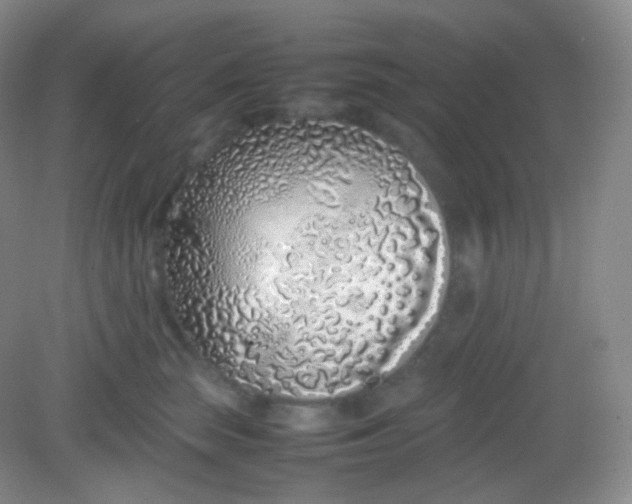 X0000082140663200702021610