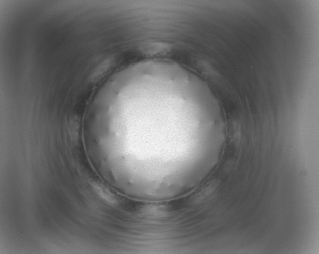 X0000082140664200702021610