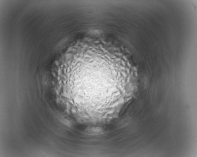 X0000082140665200702021610
