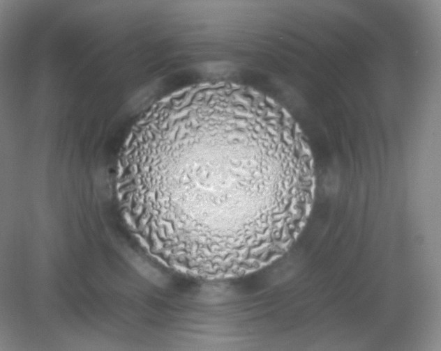 X0000082140666200702021610