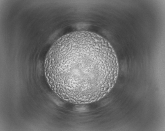 X0000082140667200702021610