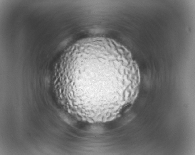 X0000082140668200702021610