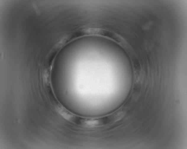 X0000082140669200702021611