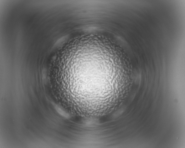 X0000082140670200702021611
