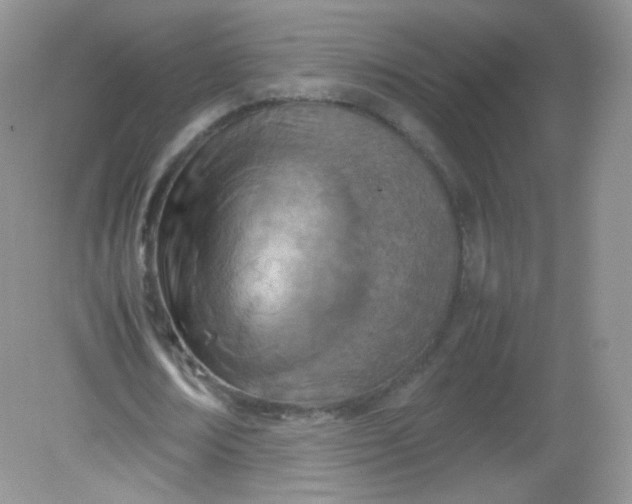 X0000082140674200702021610
