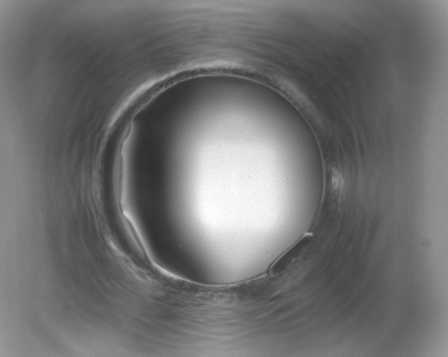 X0000082140676200702021610