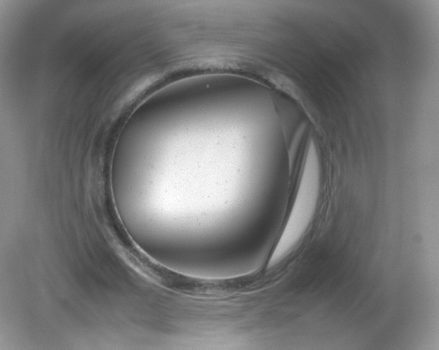 X0000082140677200702021610
