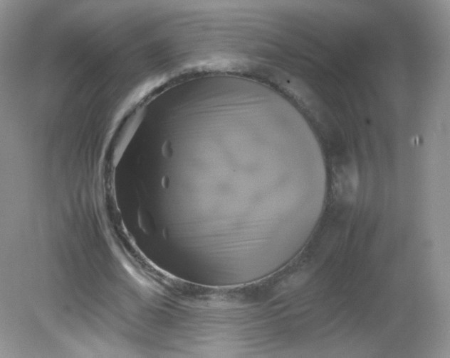 X0000082140678200702021610