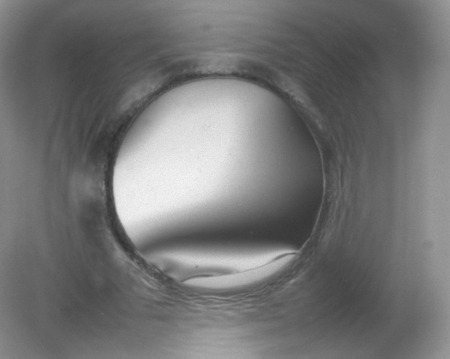 X0000082140681200702021610