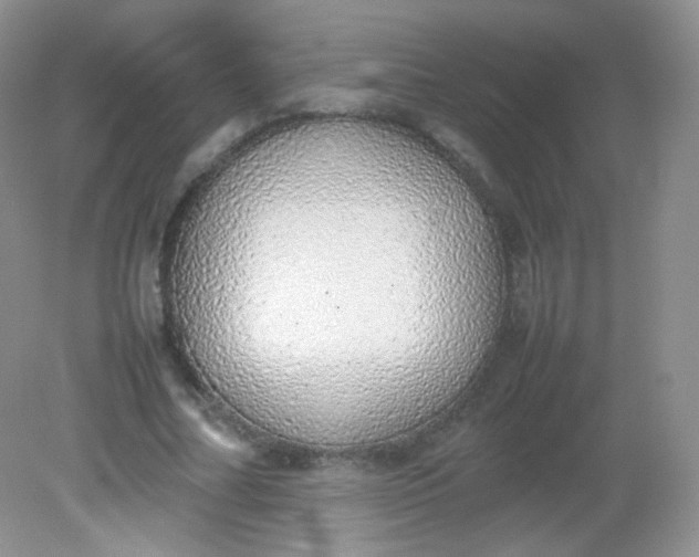 X0000082140682200702021610