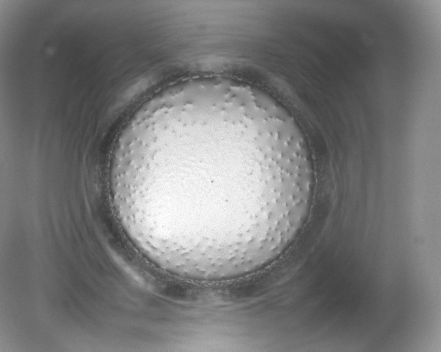 X0000082140683200702021610