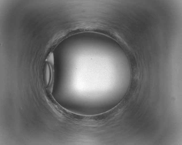 X0000082140685200702021610