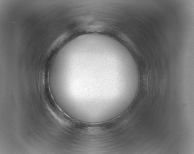 X0000082140686200702021610