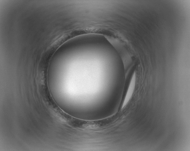 X0000082140689200702021609
