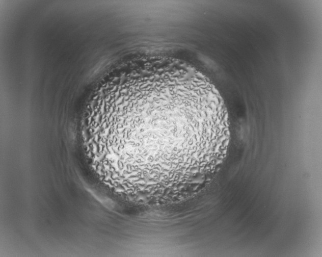 X0000082140691200702021609