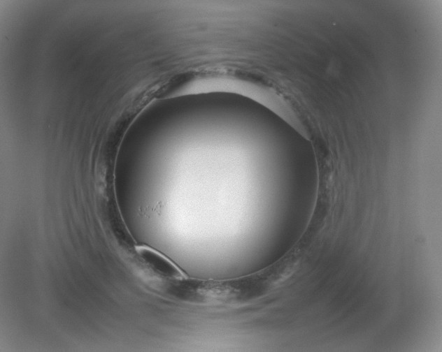 X0000082140693200702021609