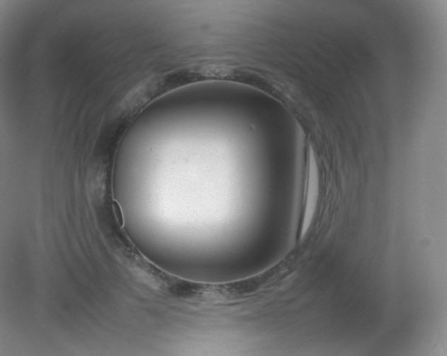 X0000082140697200702021609