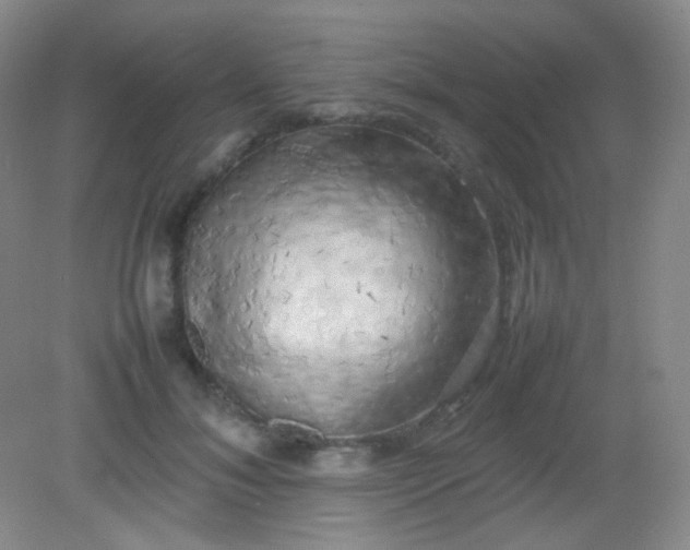 X0000082140700200702021609