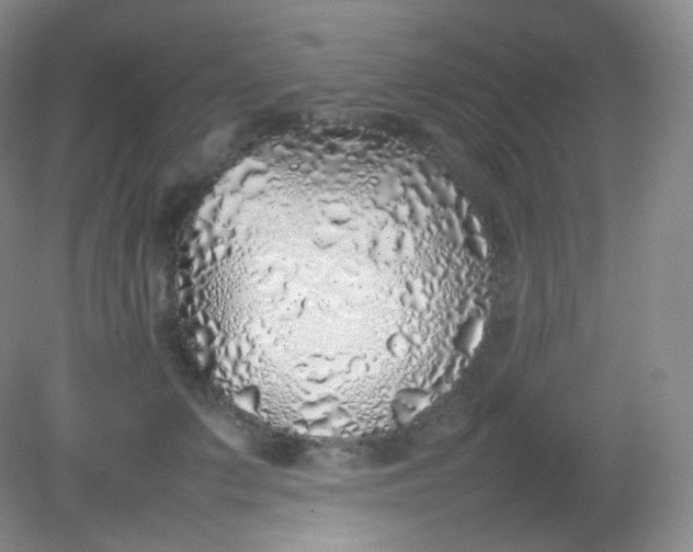 X0000082140703200702021609