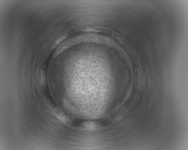 X0000082140704200702021609