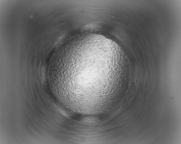 X0000082140708200702021609