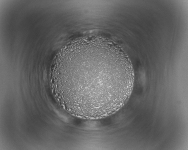 X0000082140711200702021609