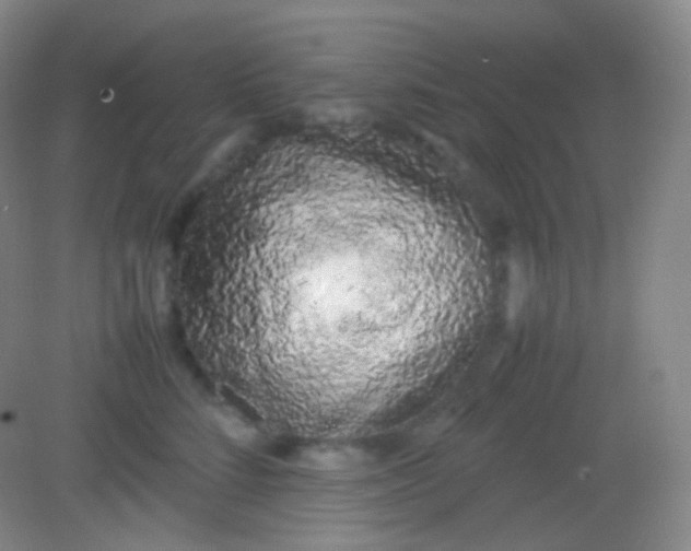 X0000082140712200702021609